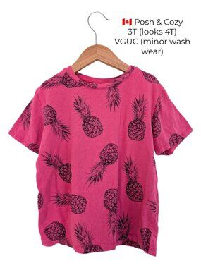 Posh & Cozy Bamboo Pink Pineapple Tee 4T Girls Clothing